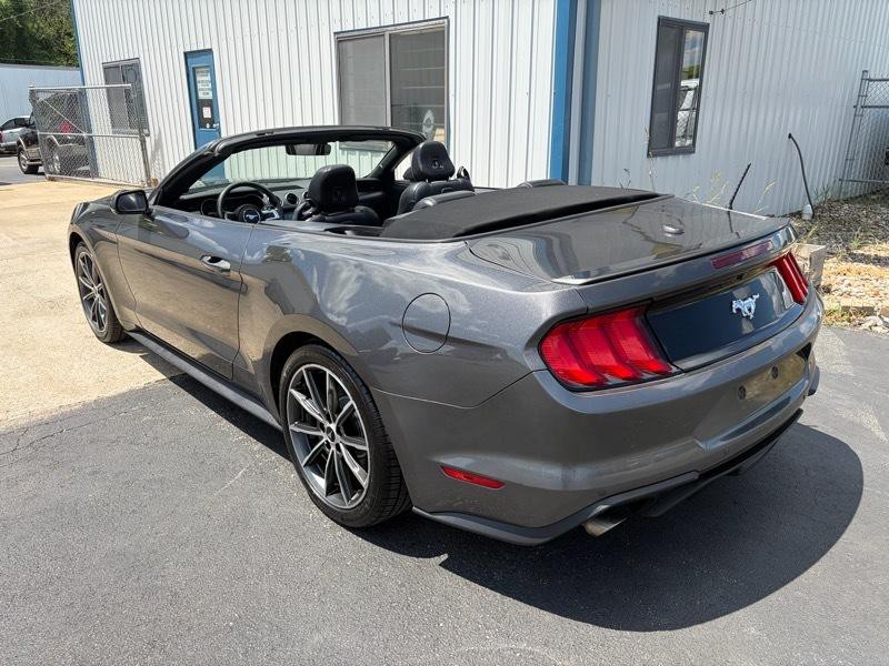 2019 Ford Mustang Image 7