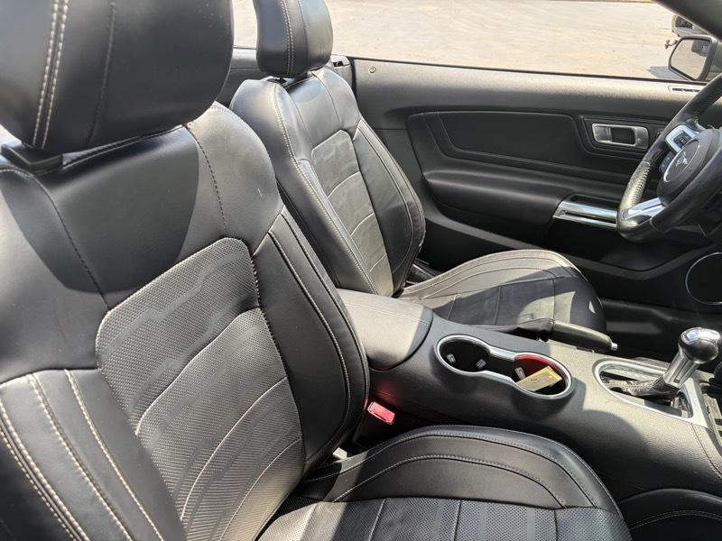 2019 Ford Mustang Image 10