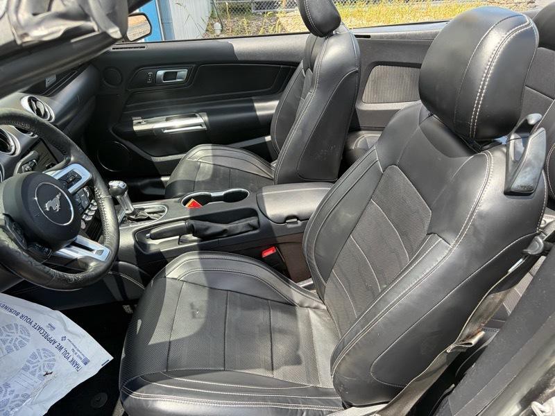 2019 Ford Mustang Image 12