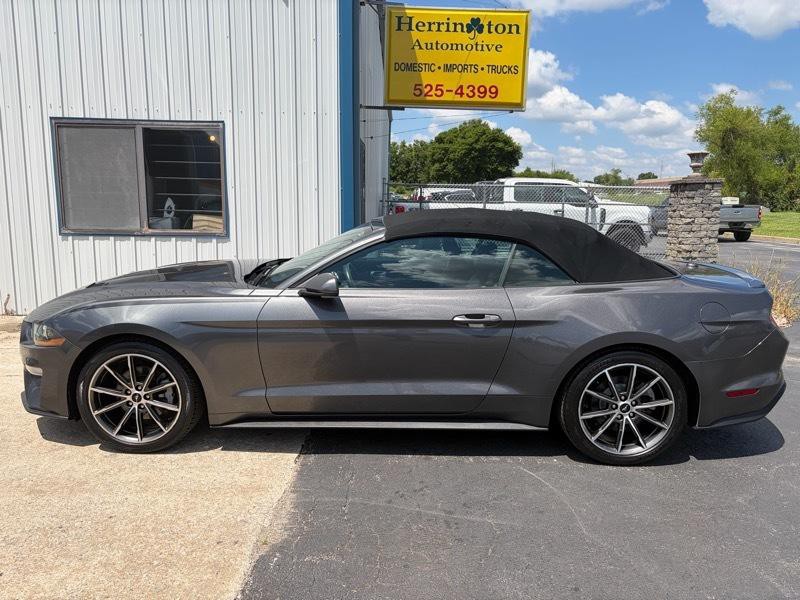 2019 Ford Mustang Image 17