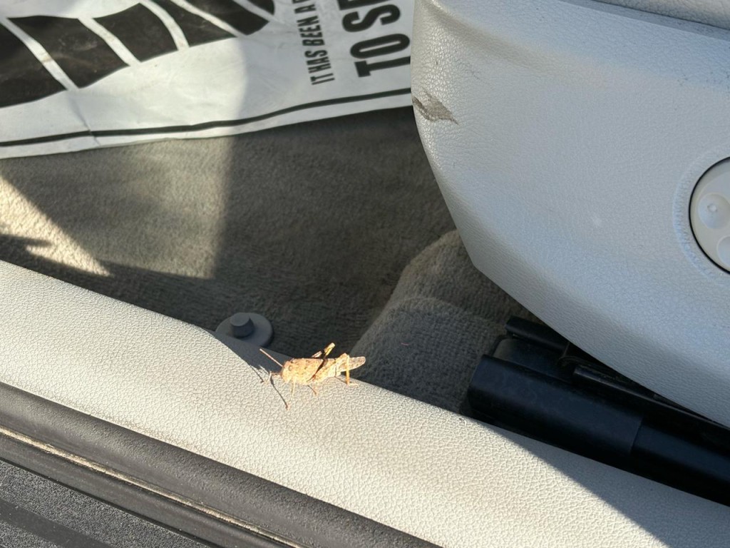 2016 Audi A3 Image 30