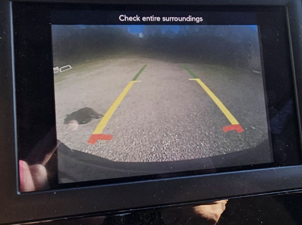 2020 Chrysler Pacifica Image 8