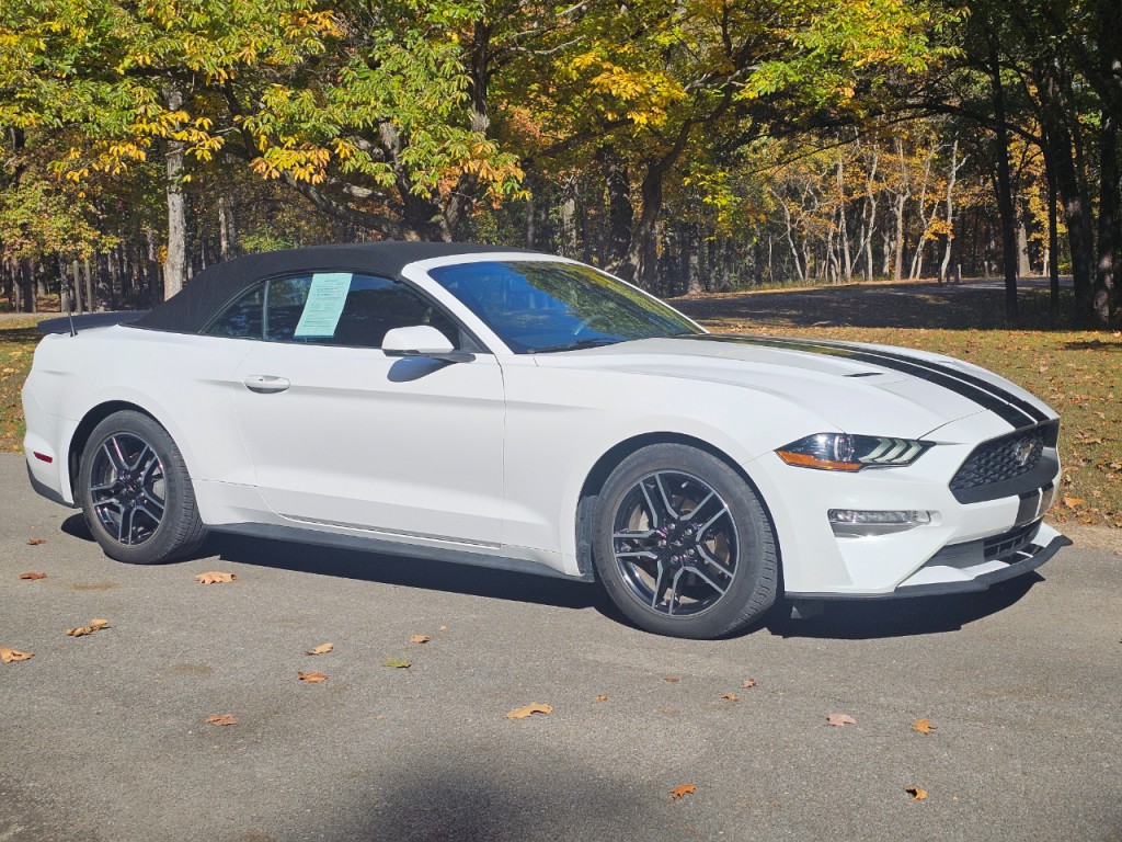 2018 Ford Mustang Image 3