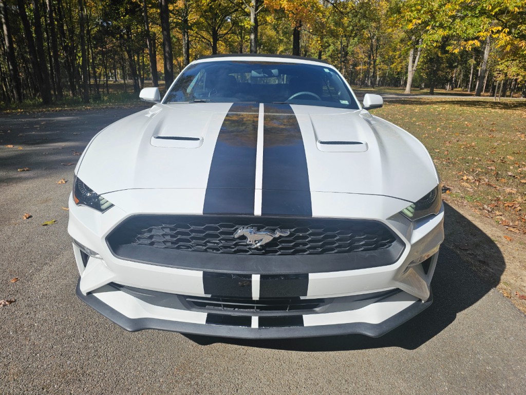 2018 Ford Mustang Image 13