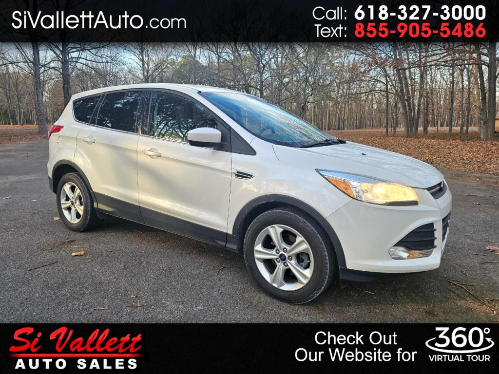 2013 Ford Escape Image 1