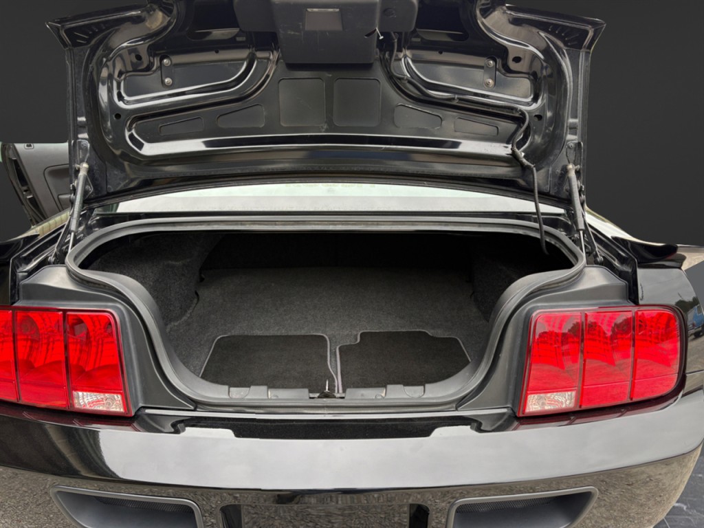 2005 Ford Mustang Image 20