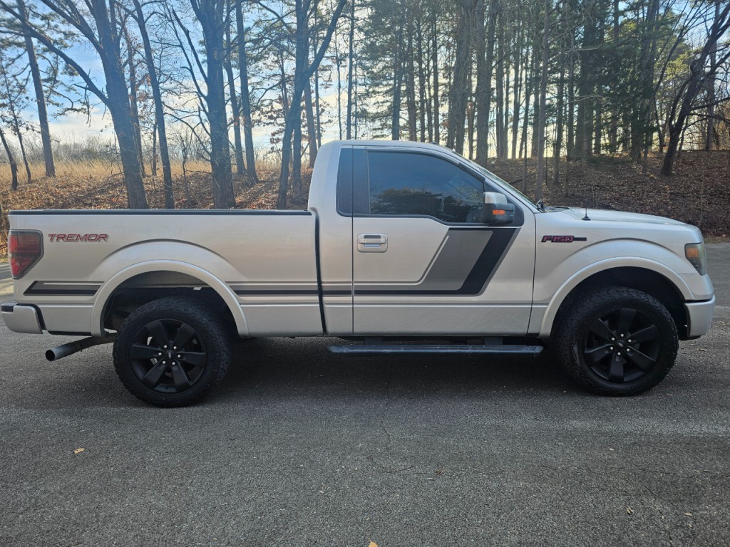 2014 Ford F-150 Image 2