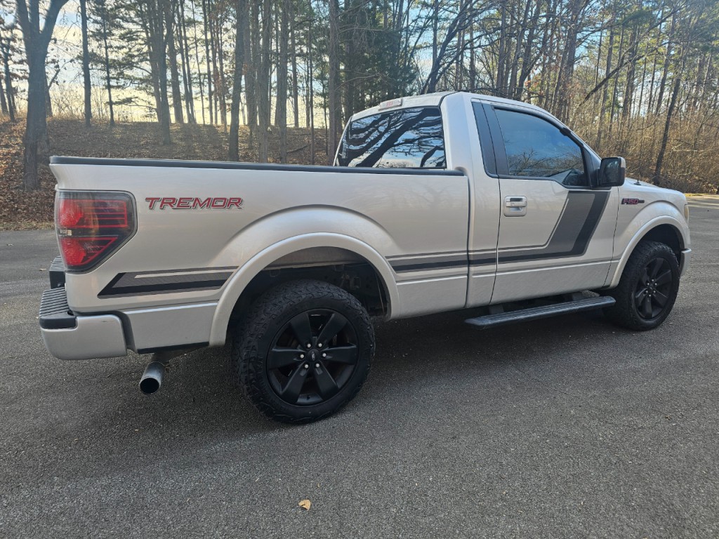 2014 Ford F-150 Image 3