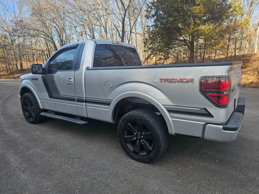 2014 Ford F-150 Image 4
