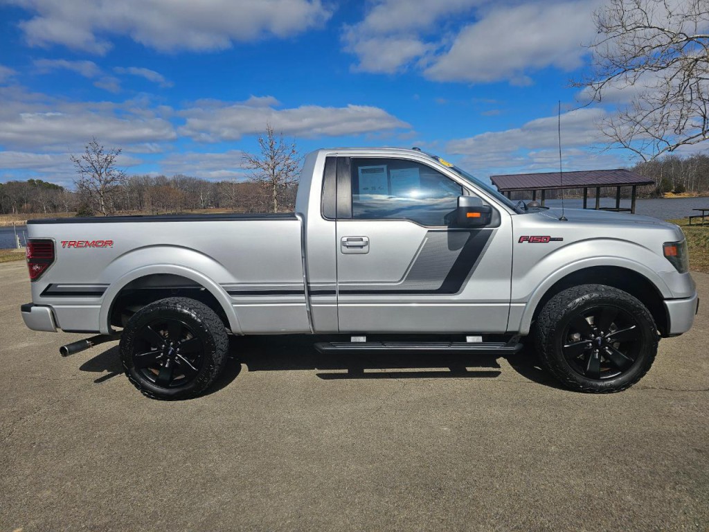 2014 Ford F-150 Image 4