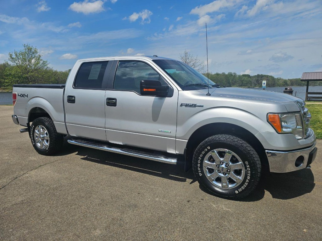 2014 Ford F-150 Image 3