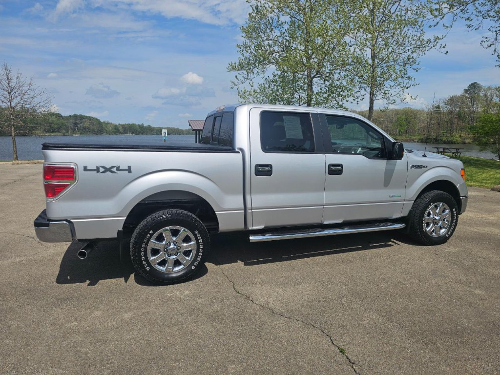 2014 Ford F-150 Image 5