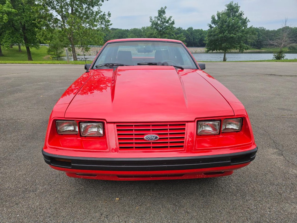 1984 Ford Mustang Image 12