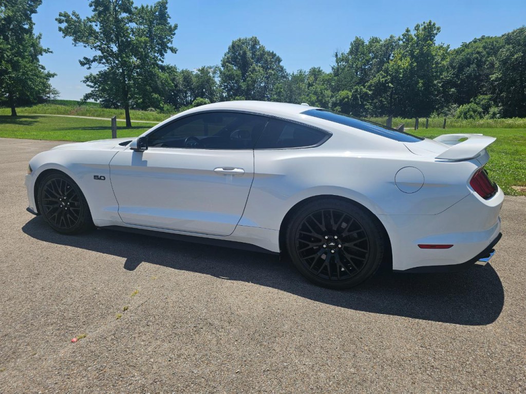 2019 Ford Mustang Image 8
