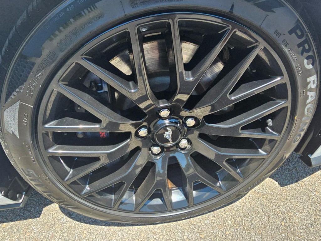 2019 Ford Mustang Image 14