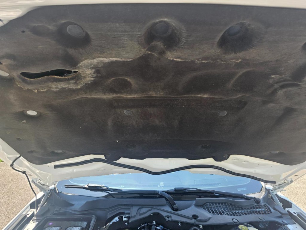 2019 Ford Mustang Image 20