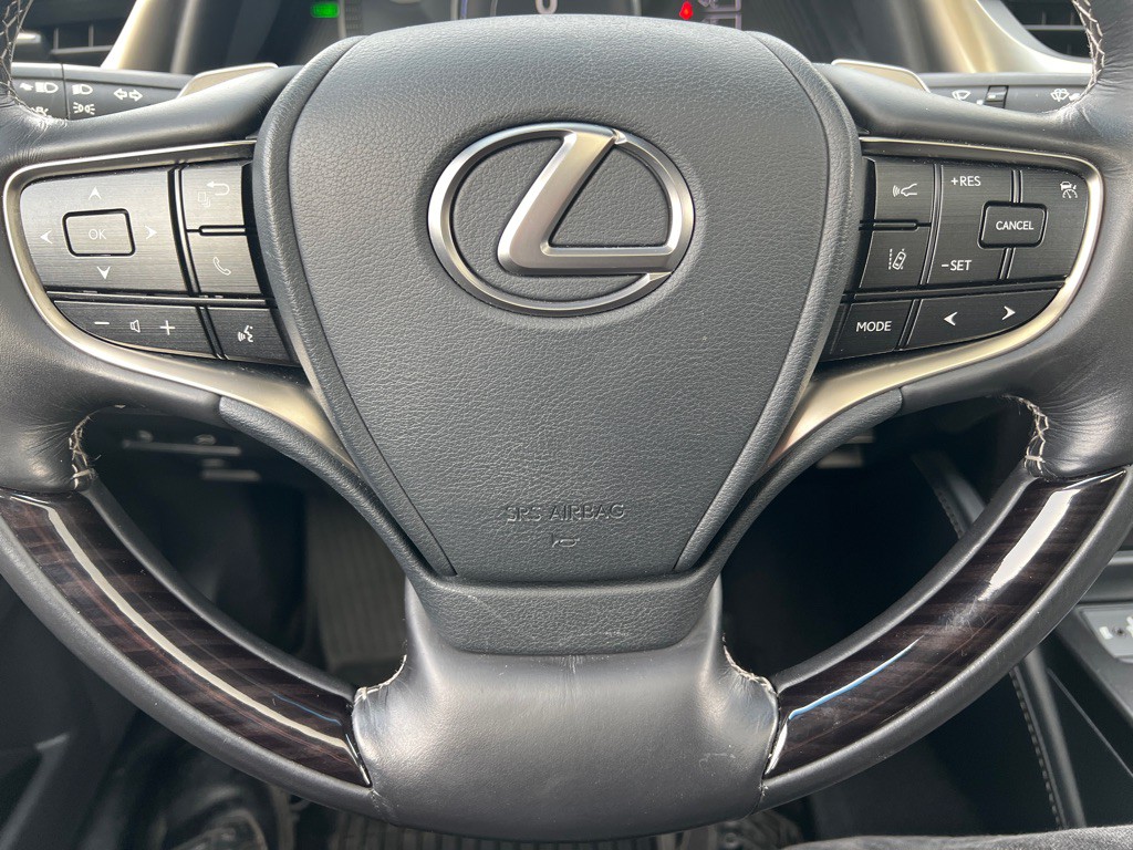 2019 Lexus ES 300 Image 18