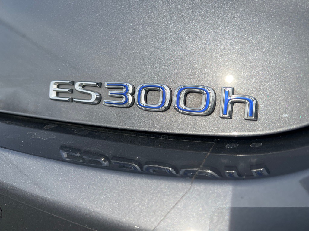 2019 Lexus ES 300 Image 43