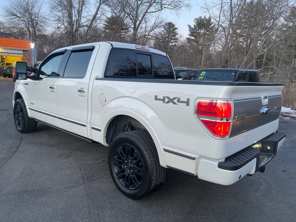 2013 Ford F-150 Image 3