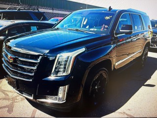Image for 2018 Cadillac Escalade Premium Luxury ID: 7485747