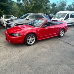 Image for 1999 Ford Mustang Cobra Svt ID: 7611336