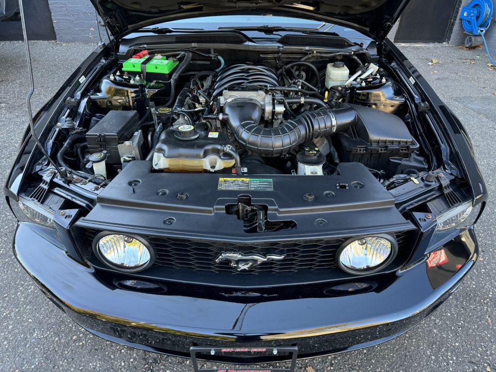 2006 Ford Mustang Image 10