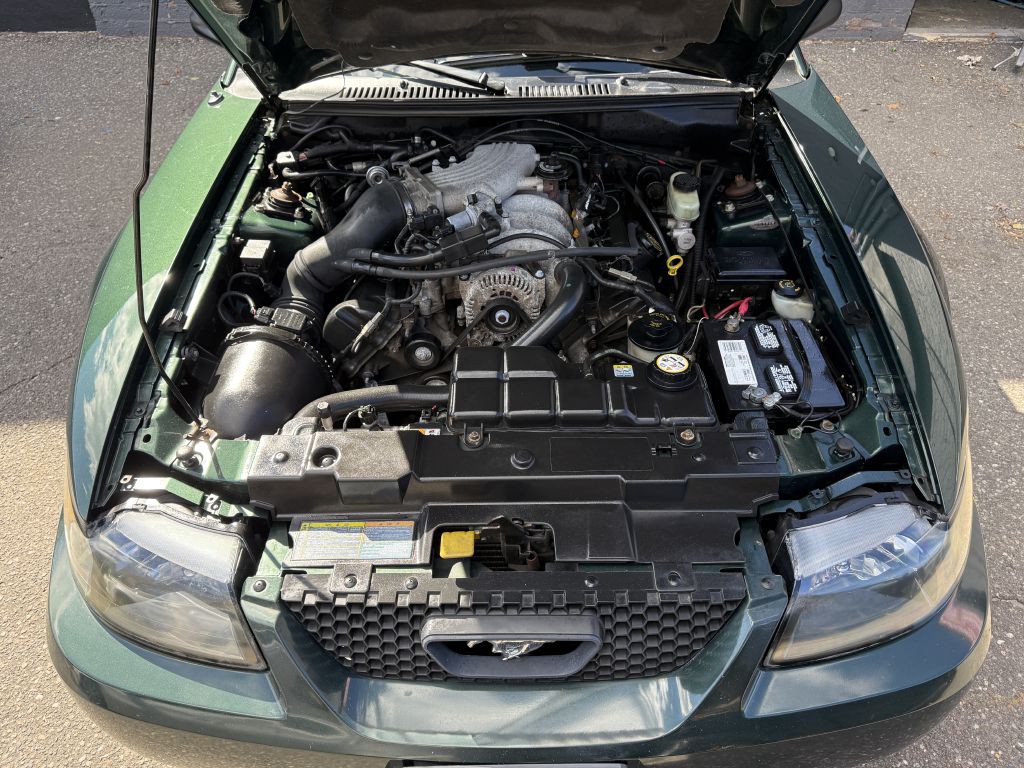 2001 Ford Mustang Image 17