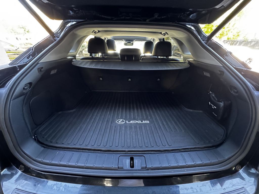 2017 Lexus RX Image 16
