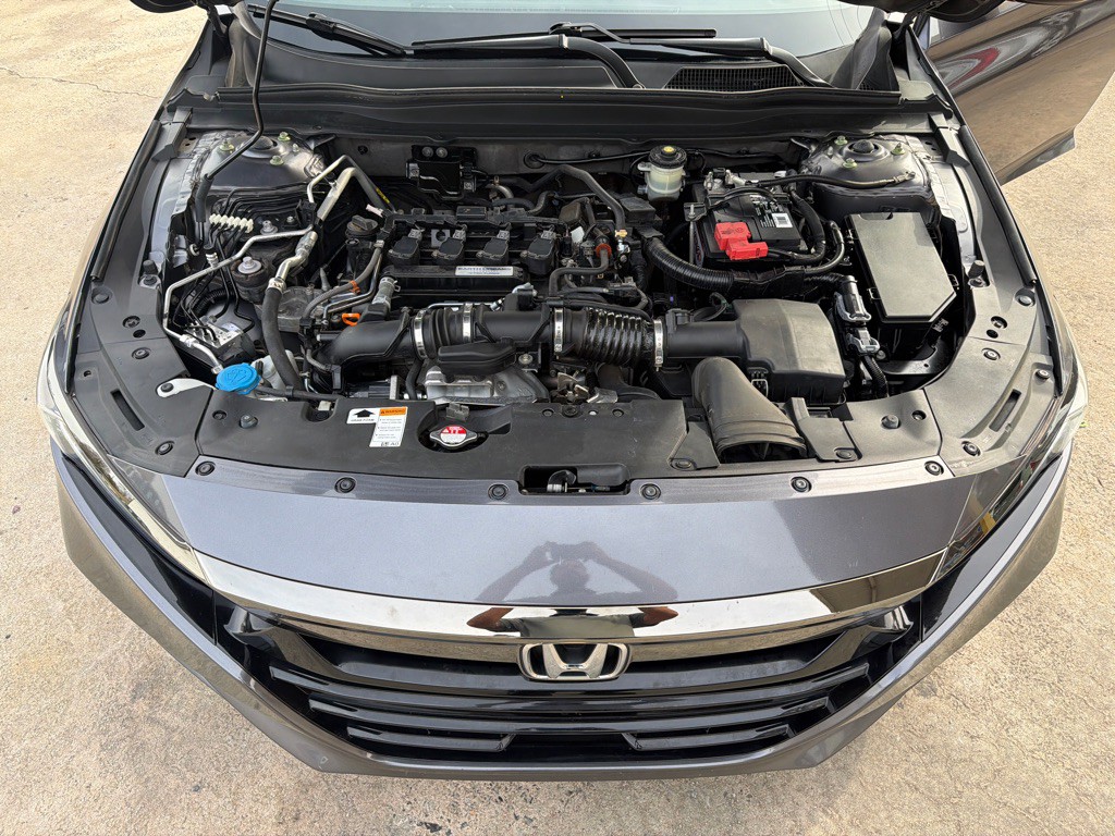 2019 Honda Accord Image 16