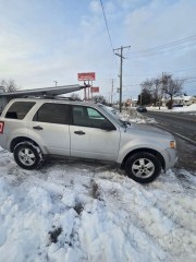 Image for 2009 Ford Escape XLT ID: 7145628