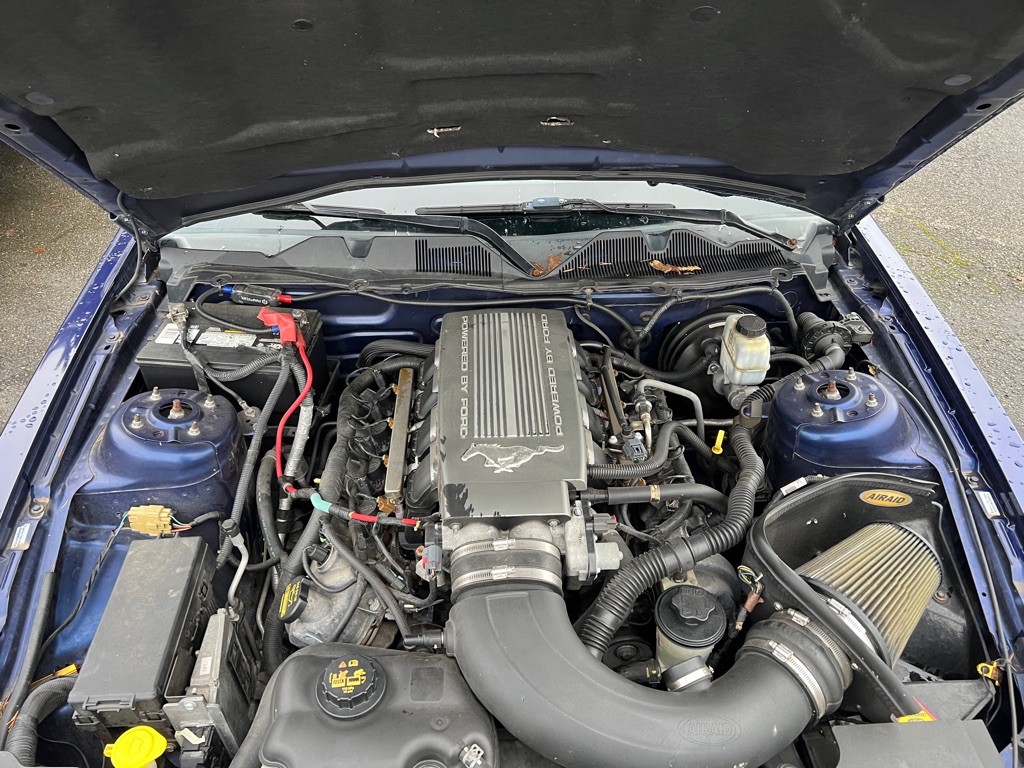 2010 Ford Mustang Image 28