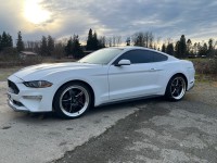 Image for 2020 Ford Mustang  ID: 7202299