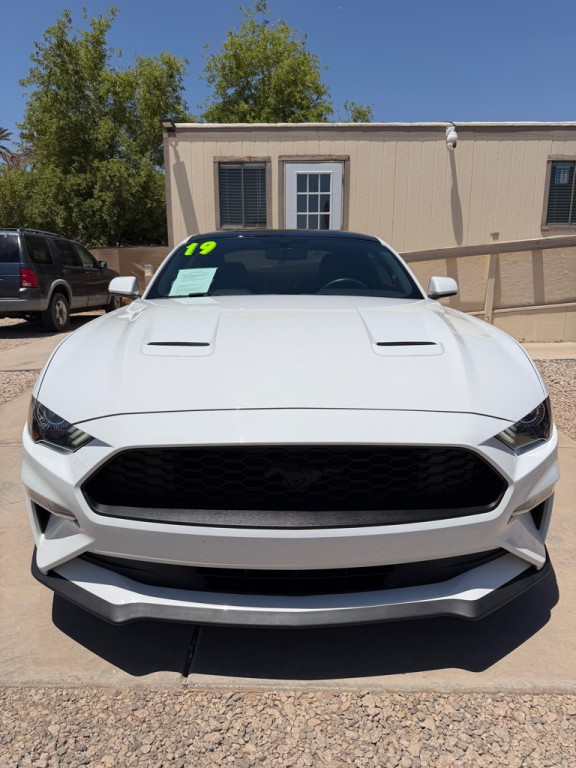 2019 Ford Mustang Image 2
