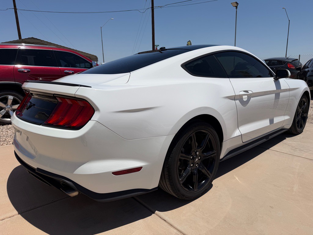 2019 Ford Mustang Image 4
