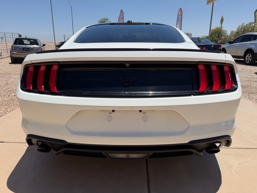 2019 Ford Mustang Image 5