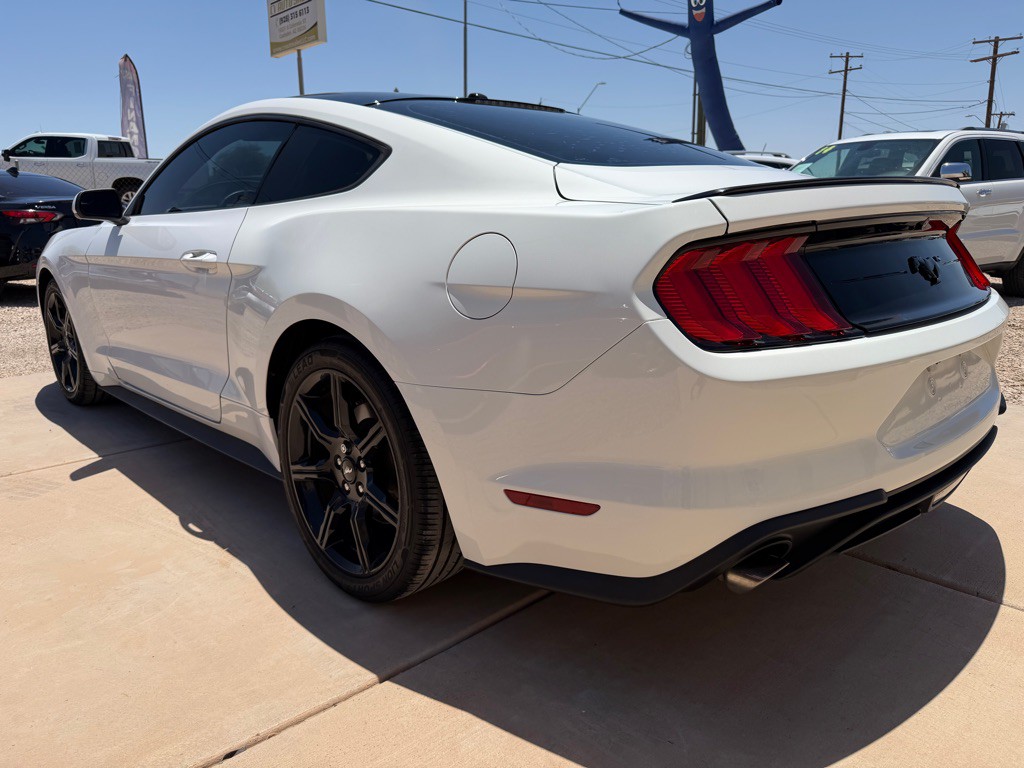 2019 Ford Mustang Image 6