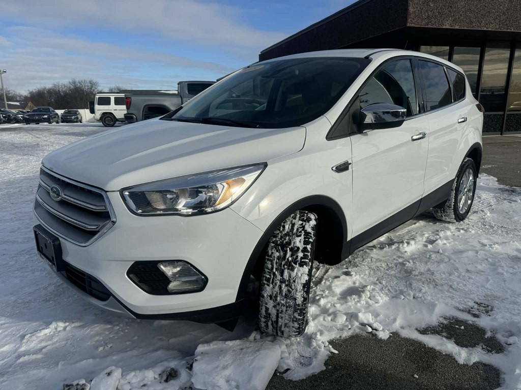 2019 Ford Escape Image 4