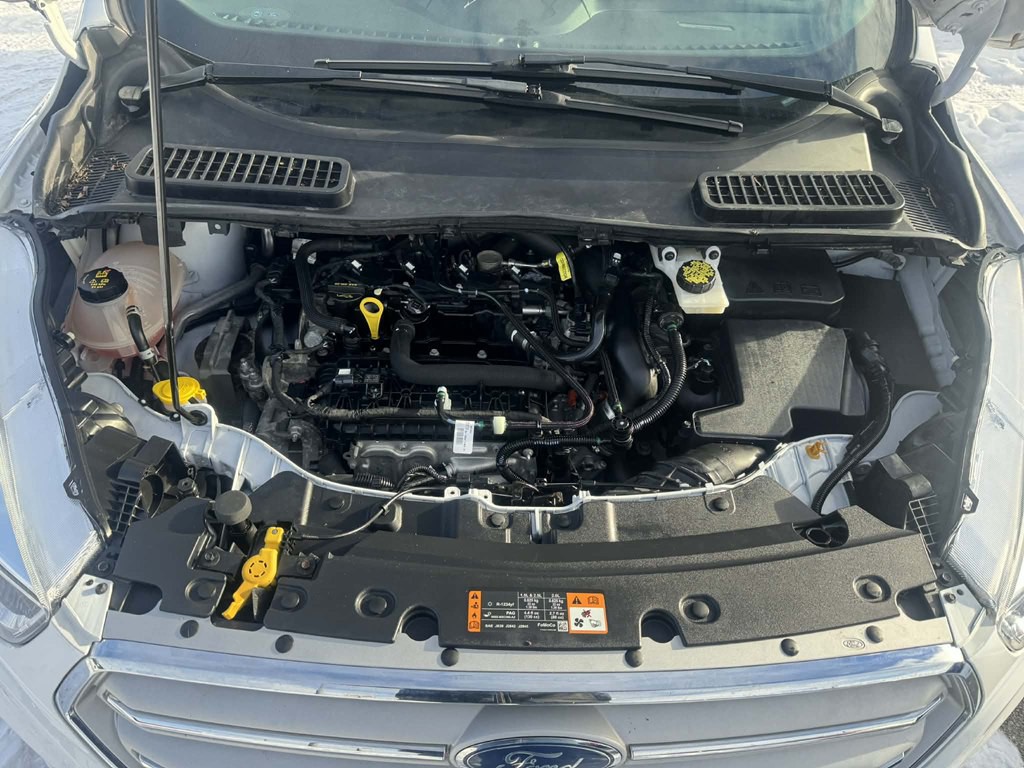 2019 Ford Escape Image 10