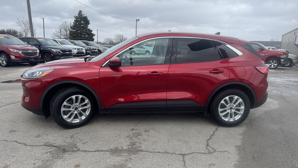 2020 Ford Escape Image 5