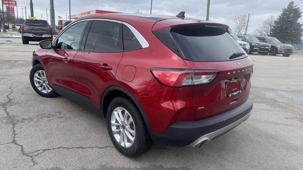 2020 Ford Escape Image 6