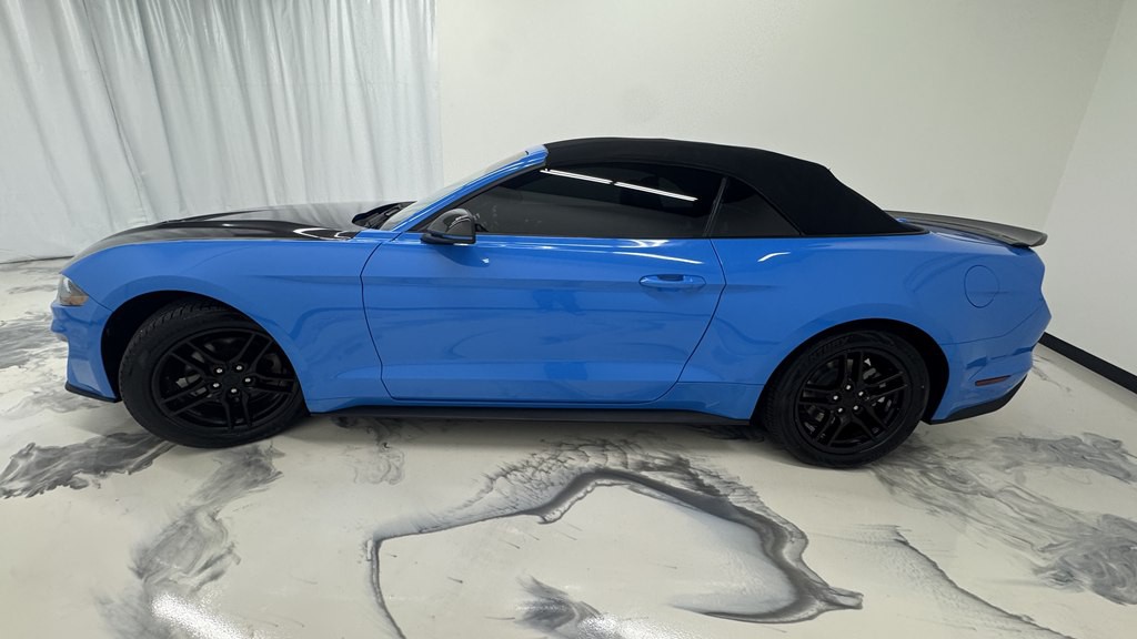 2022 Ford Mustang Image 6