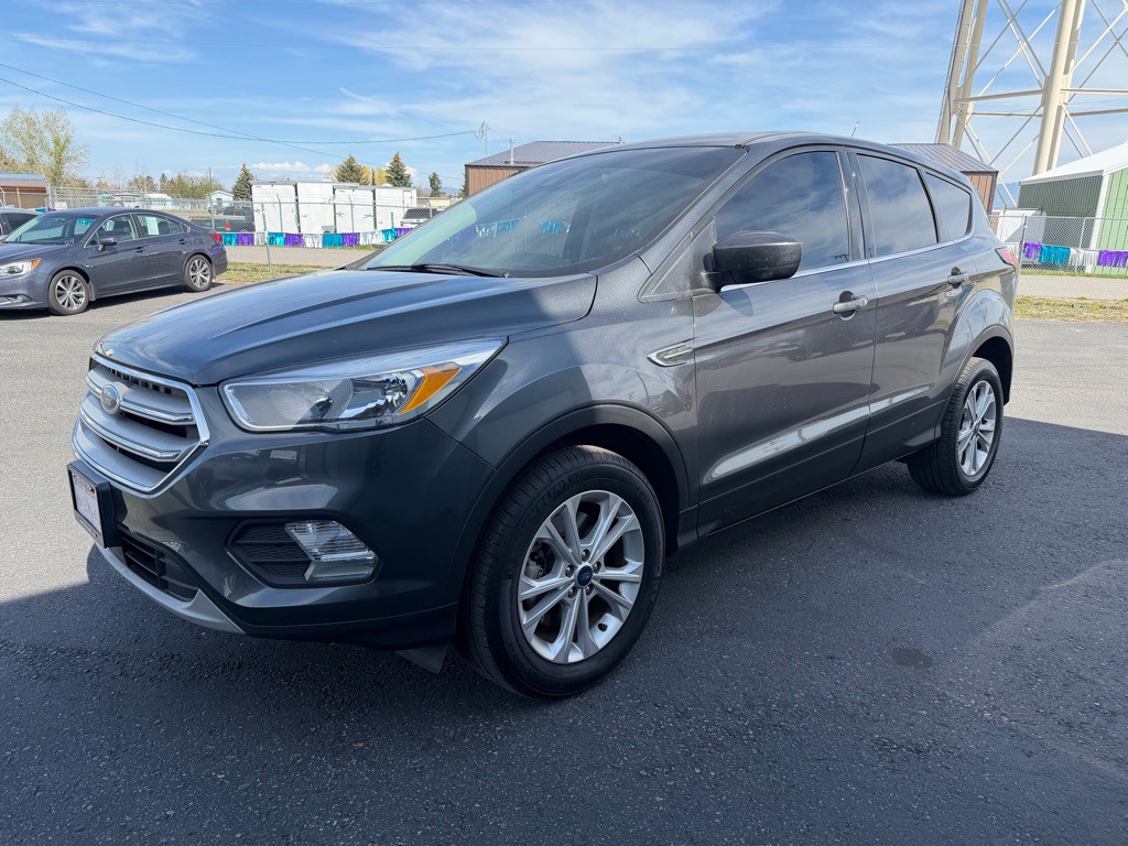 2019 Ford Escape Image 2