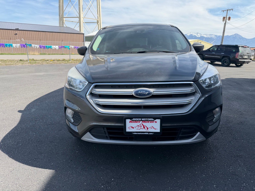2019 Ford Escape Image 6