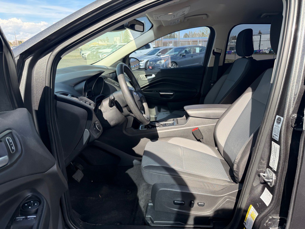 2019 Ford Escape Image 12