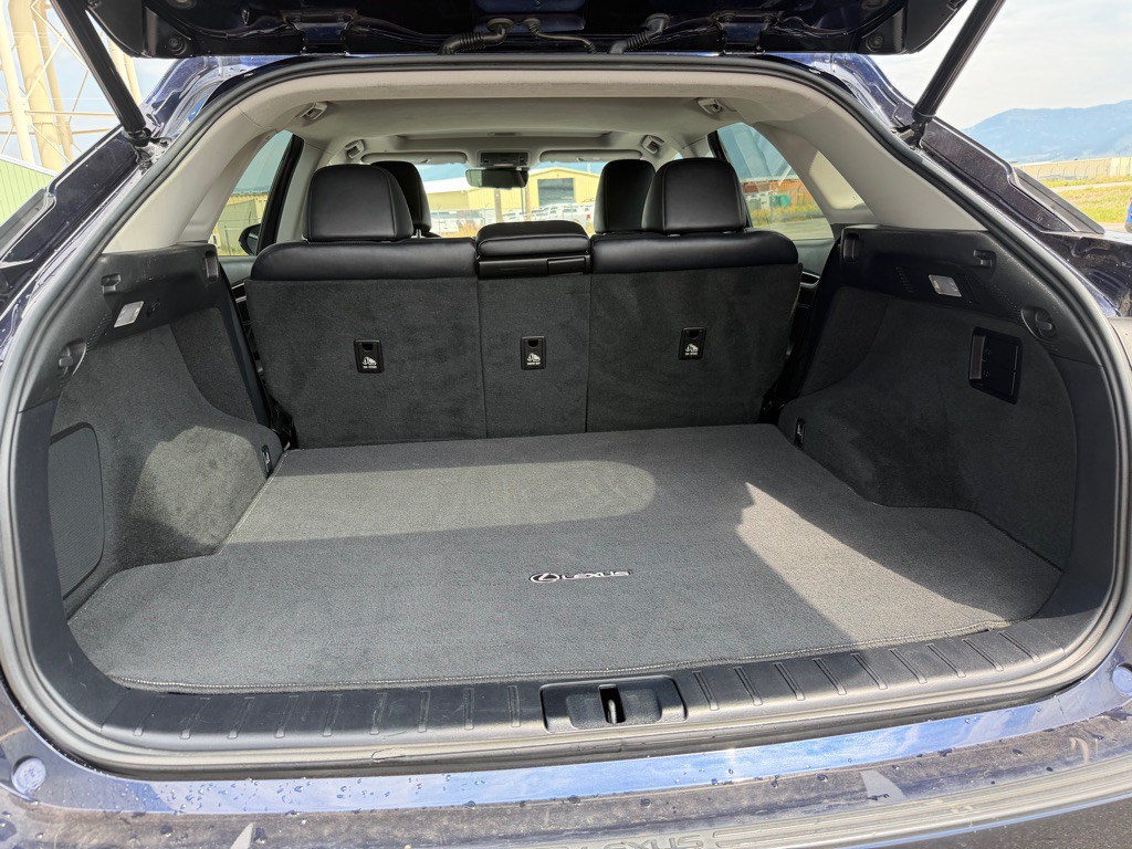 2017 Lexus RX Image 28