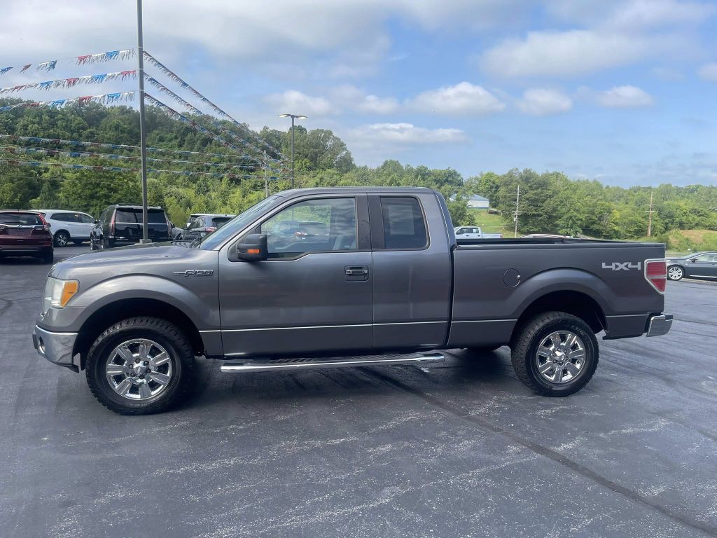 2010 Ford F-150 Image 4