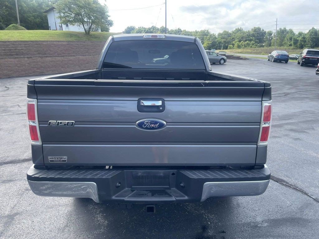 2010 Ford F-150 Image 6