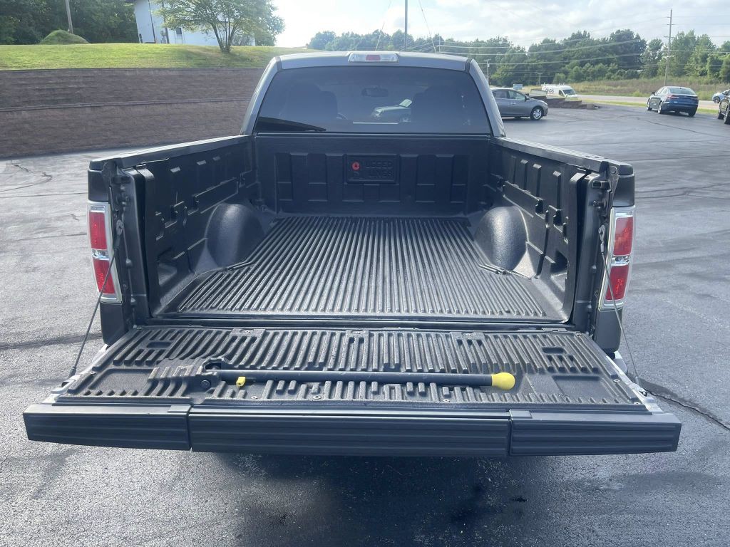 2010 Ford F-150 Image 12