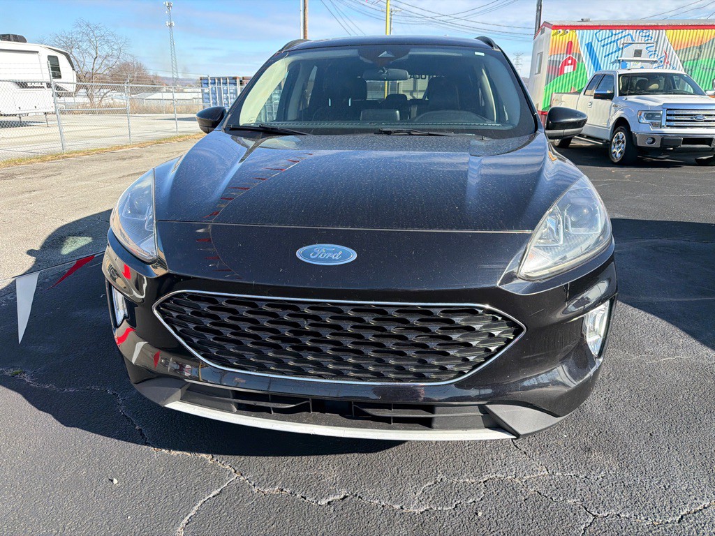 2020 Ford Escape Image 6