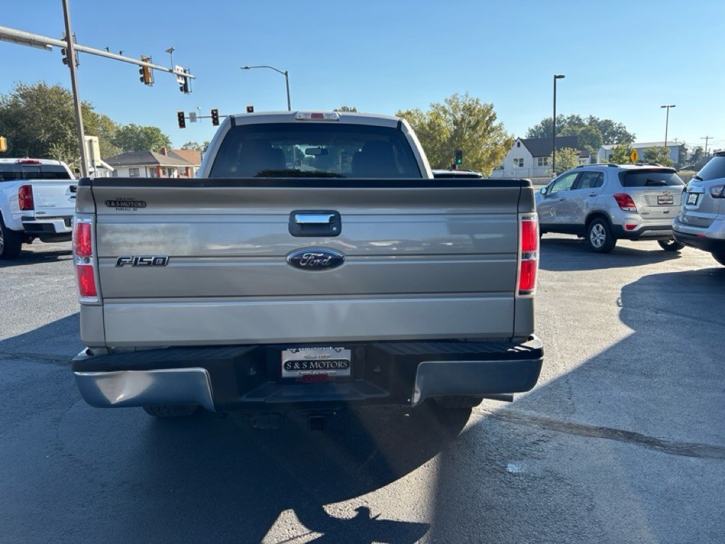 2010 Ford F-150 Image 4